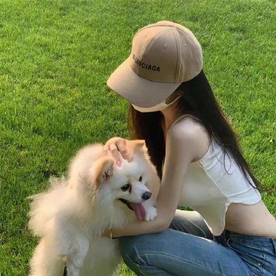 斑马头