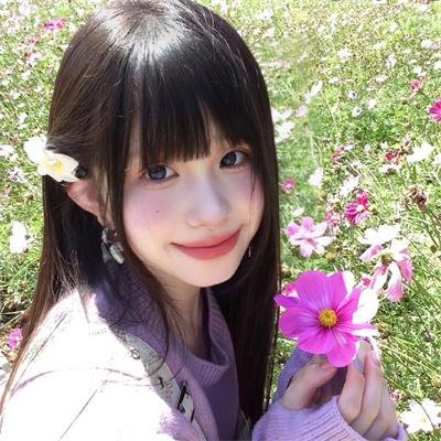 西部战线